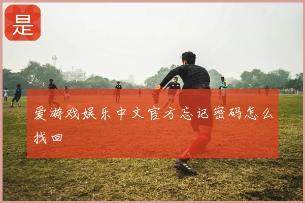 爱游戏娱乐中文官方忘记密码怎么找回